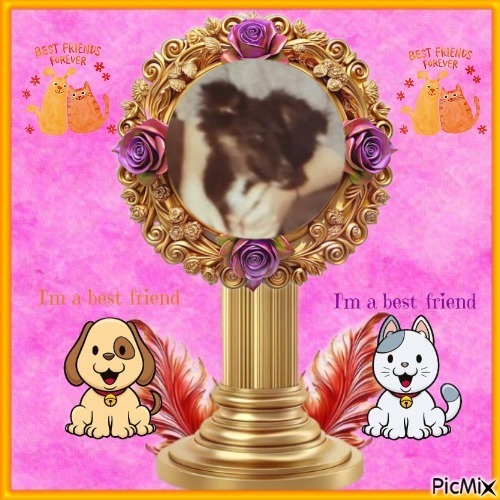 Asiya uploaded   34  day/s  ago