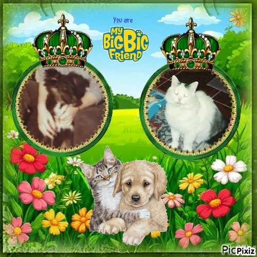 Asiya uploaded   45  day/s  ago