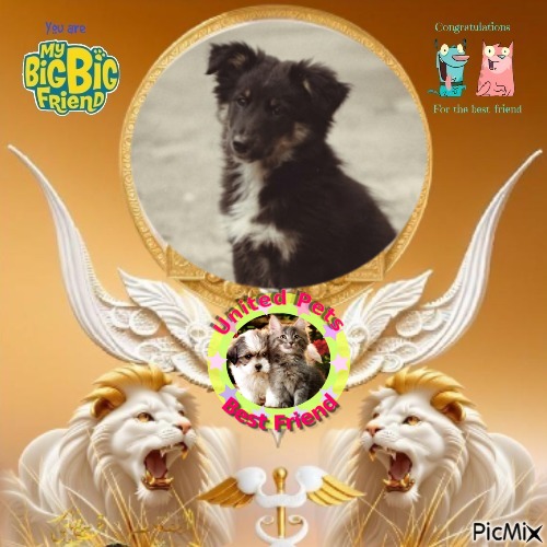 Laika of the Asiya family