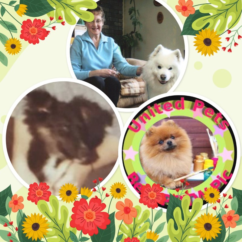 Laika of the Asiya family