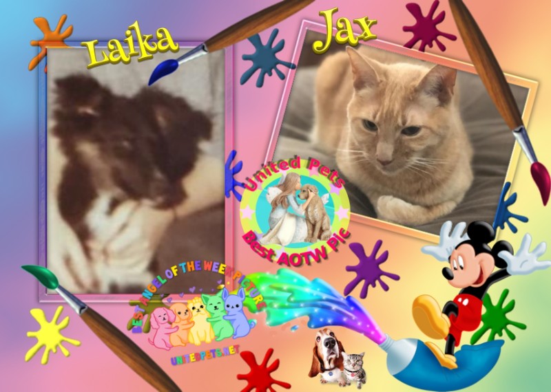 Laika of the Asiya family