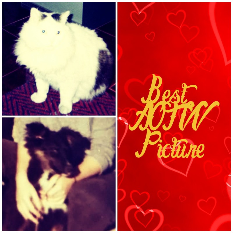 Asiya uploaded   35  day/s  ago