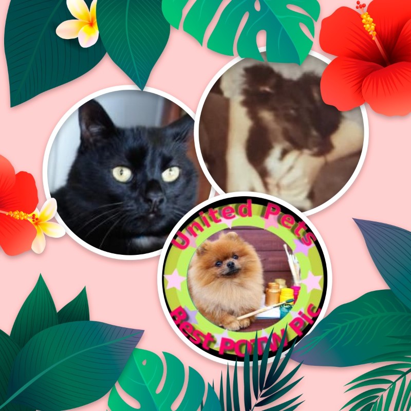 Asiya uploaded   18 hour/s ago