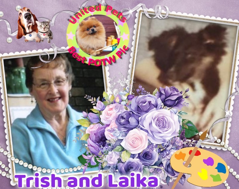 Laika of the Asiya family
