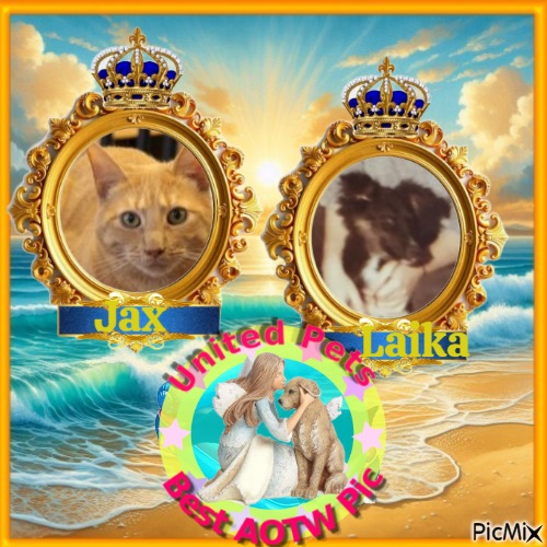 Laika of the Asiya family