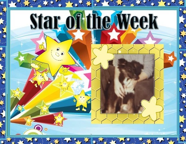 Asiya uploaded   99  day/s  ago