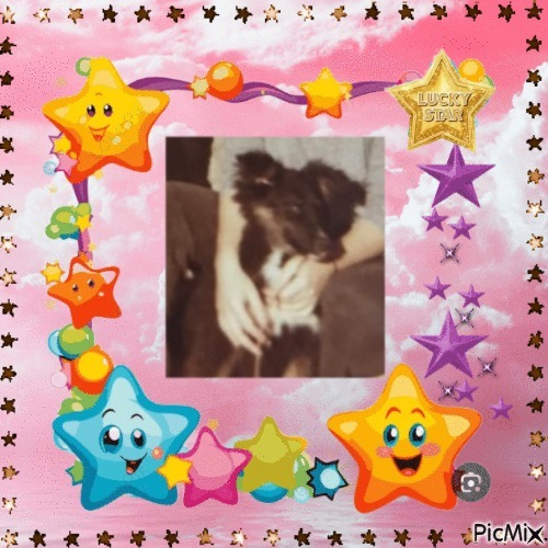 Asiya uploaded   99  day/s  ago