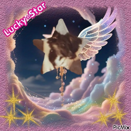 Laika of the Asiya family