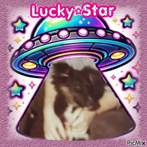 Asiya uploaded   99  day/s  ago