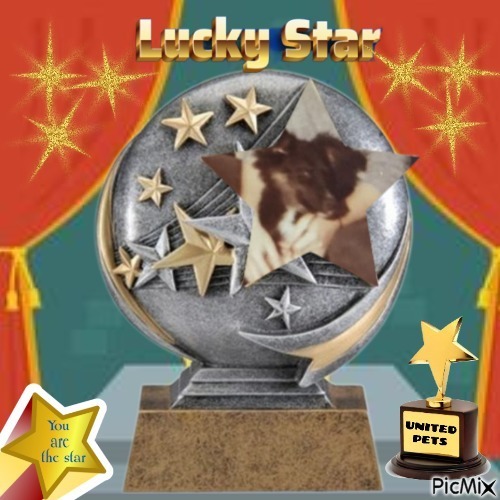 Laika of the Asiya family