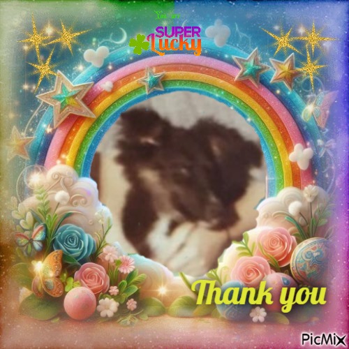 Laika of the Asiya family