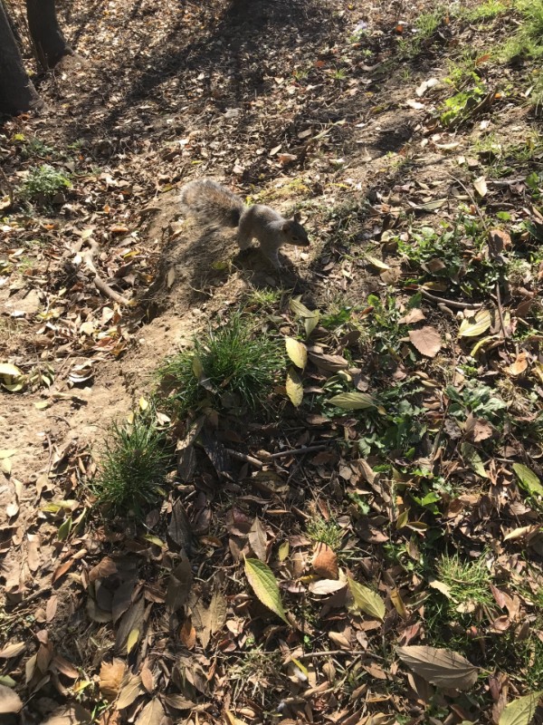 Asiya uploaded   2 year/s ago