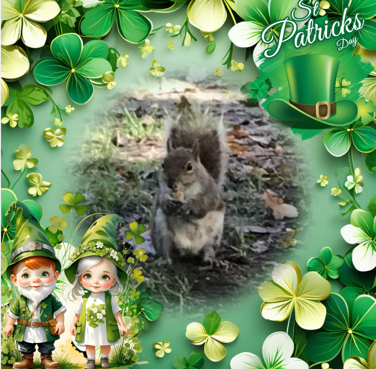 Asiya uploaded   56  day/s  ago