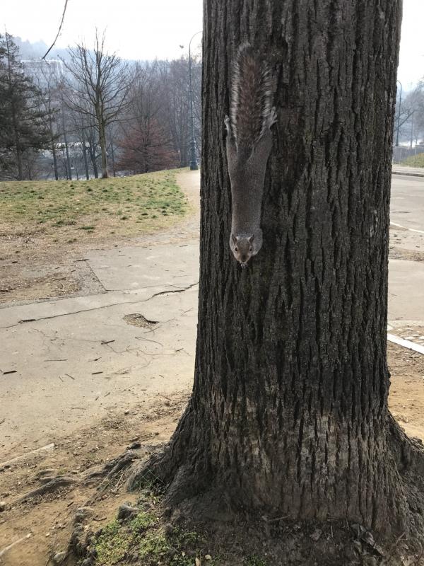 Asiya uploaded   2 year/s ago