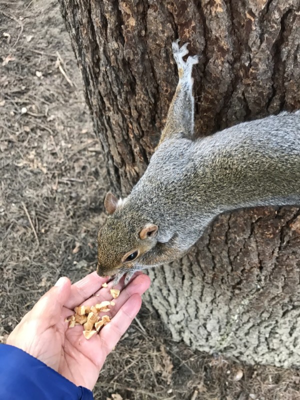 Asiya uploaded   1 year/s ago