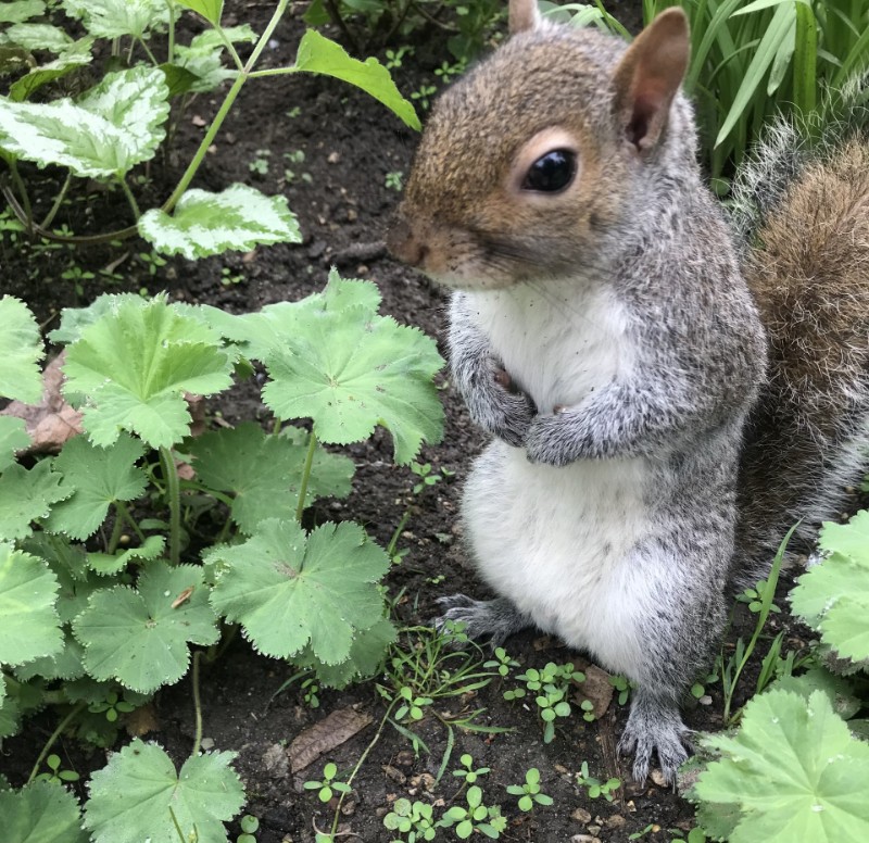 Asiya uploaded   1 year/s ago