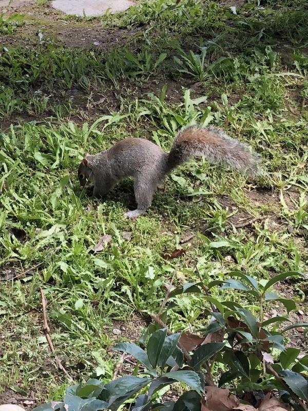 Asiya uploaded   1 year/s ago