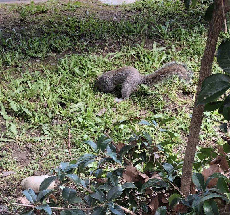 Asiya uploaded   1 year/s ago