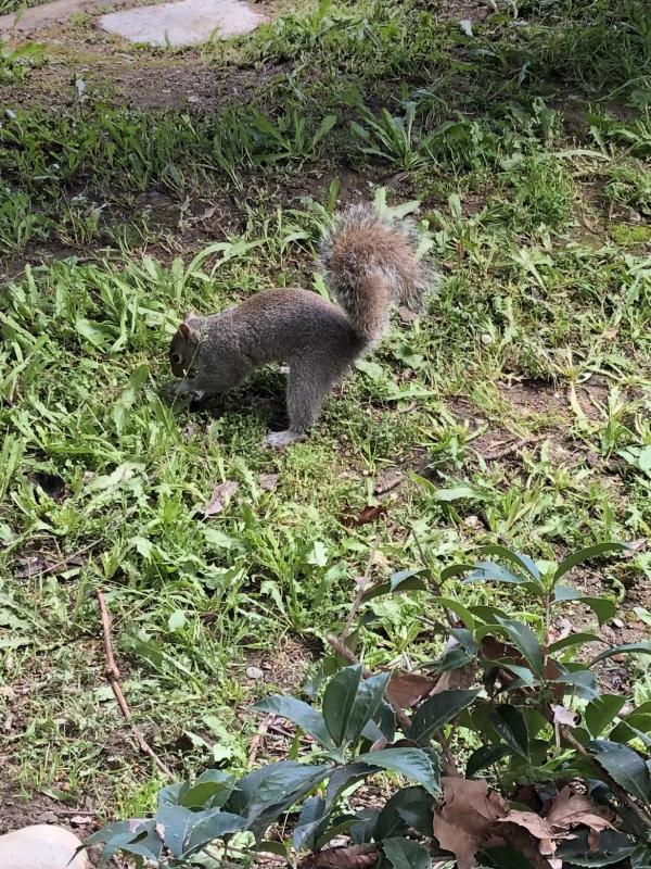 Asiya uploaded   1 year/s ago