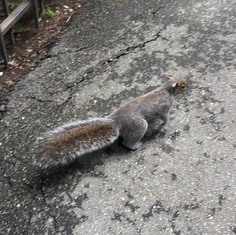 Asiya uploaded   1 year/s ago