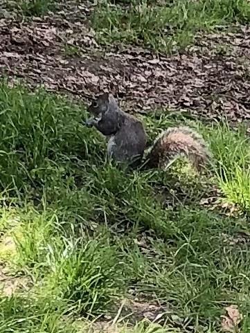 Asiya uploaded   1 year/s ago