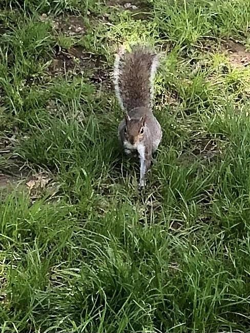 Asiya uploaded   1 year/s ago