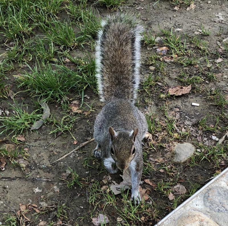 Asiya uploaded   1 year/s ago