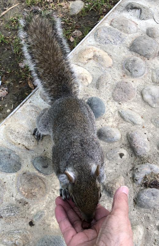 Asiya uploaded   1 year/s ago