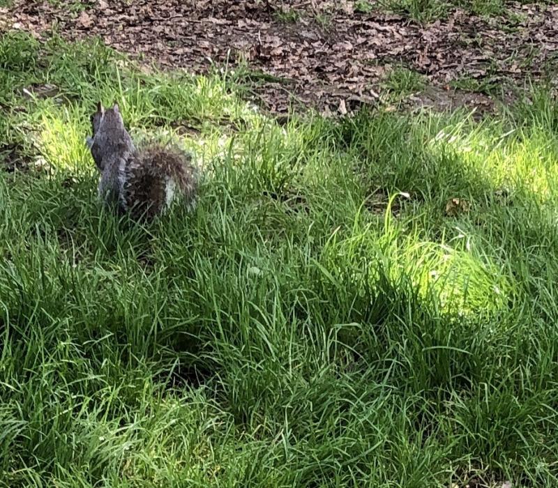 Asiya uploaded   1 year/s ago