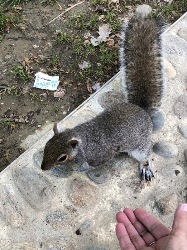 Asiya uploaded   1 year/s ago