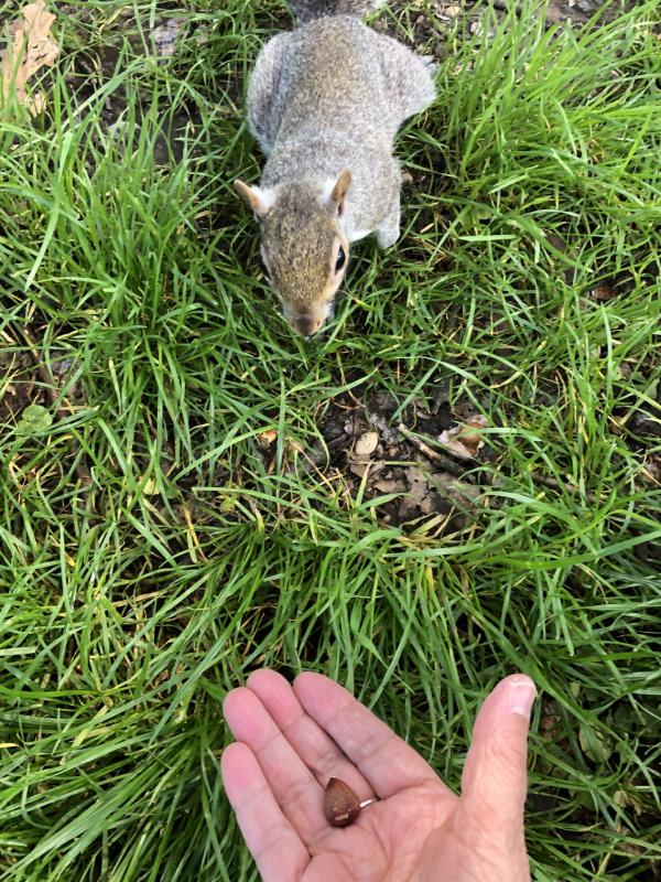 Asiya uploaded   364  day/s  ago