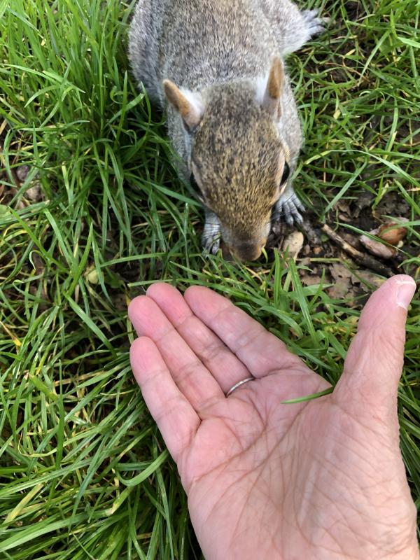 Asiya uploaded   364  day/s  ago