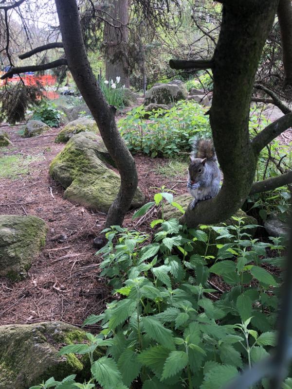 Asiya uploaded   310  day/s  ago