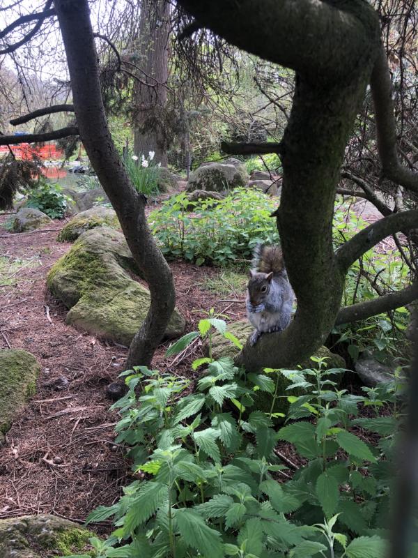 Asiya uploaded   1 year/s ago