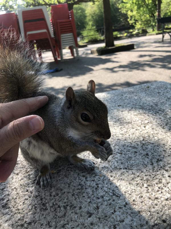 Asiya uploaded   349  day/s  ago