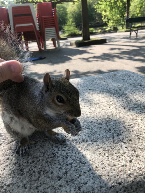 Asiya uploaded   349  day/s  ago