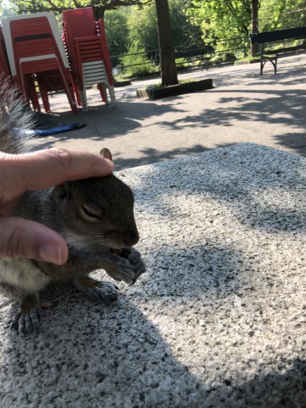 Asiya uploaded   349  day/s  ago