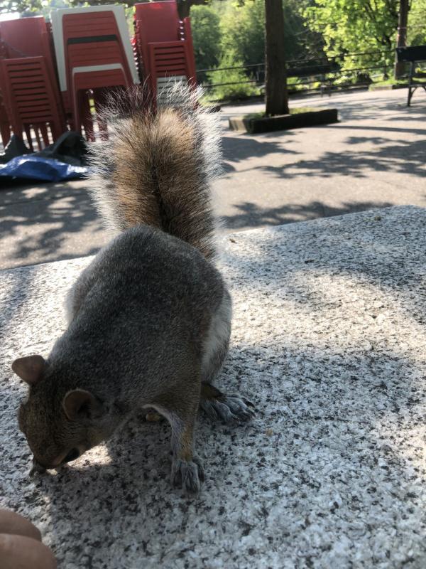 Asiya uploaded   344  day/s  ago