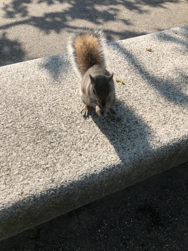 Asiya uploaded   344  day/s  ago