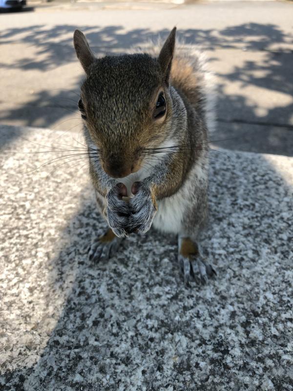 Asiya uploaded   362  day/s  ago