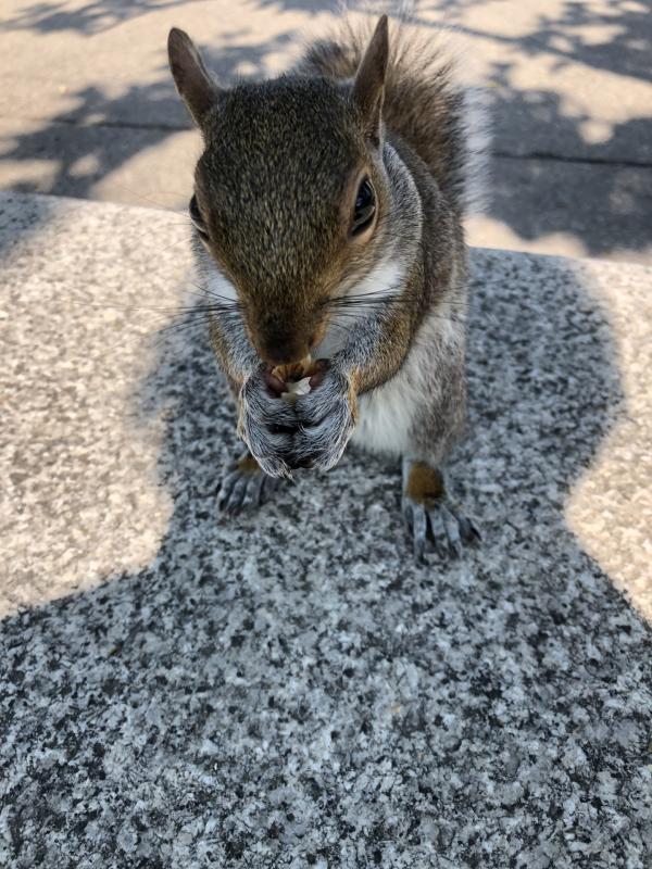 Asiya uploaded   362  day/s  ago