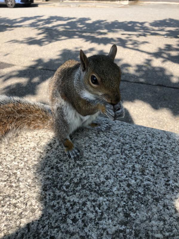 Asiya uploaded   362  day/s  ago