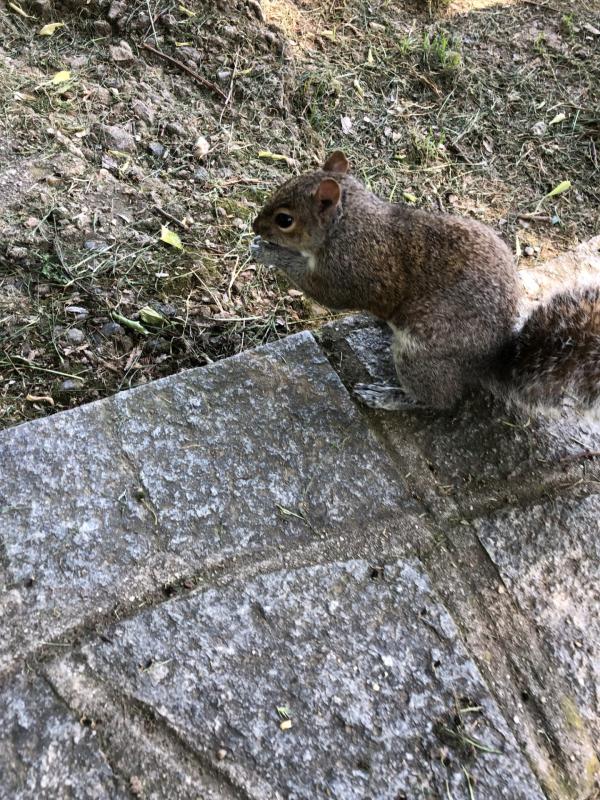 Asiya uploaded   336  day/s  ago