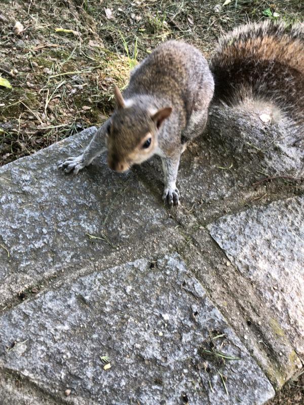 Asiya uploaded   336  day/s  ago