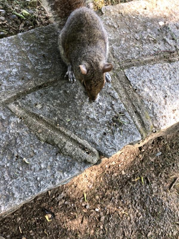 Asiya uploaded   336  day/s  ago