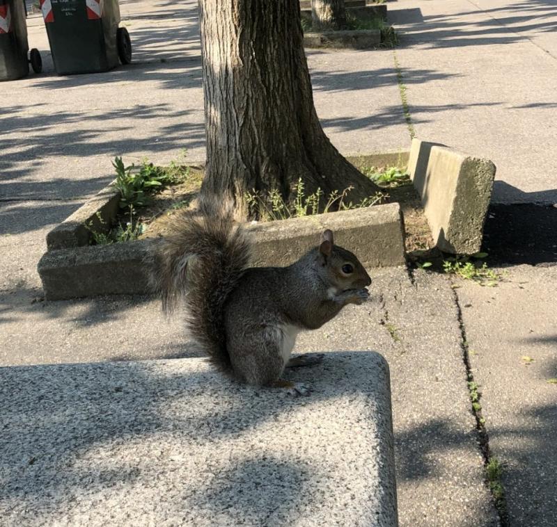 Asiya uploaded   357  day/s  ago