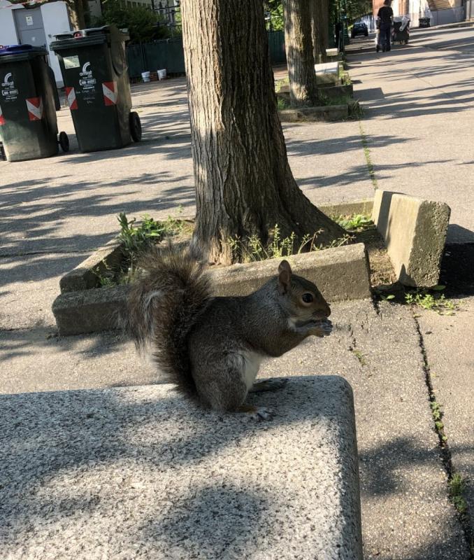 Asiya uploaded   357  day/s  ago