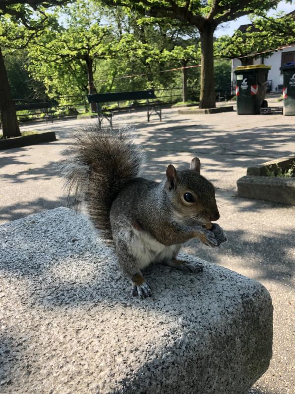 Asiya uploaded   356  day/s  ago