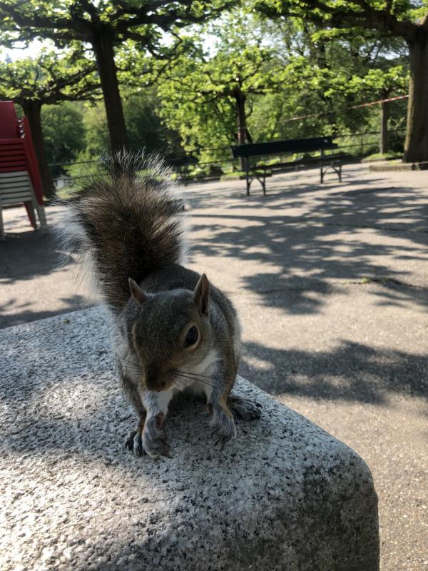 Asiya uploaded   356  day/s  ago