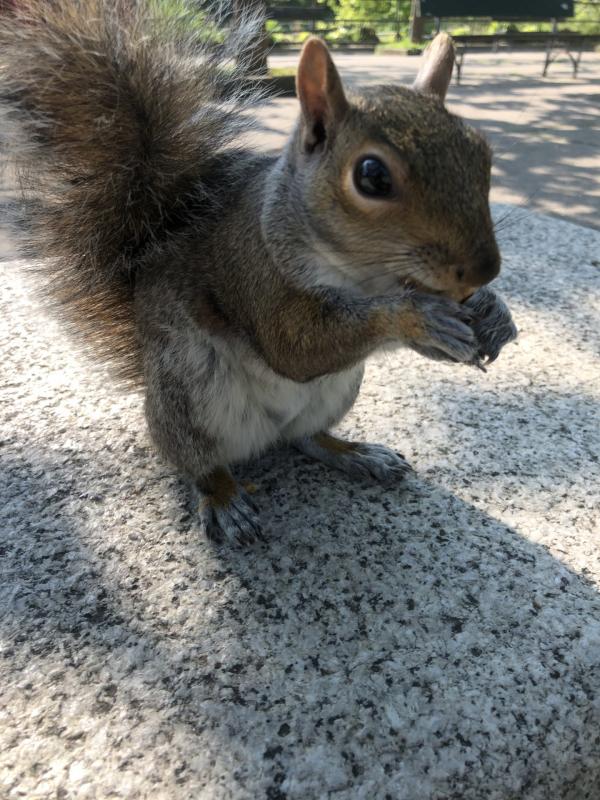 Asiya uploaded   356  day/s  ago